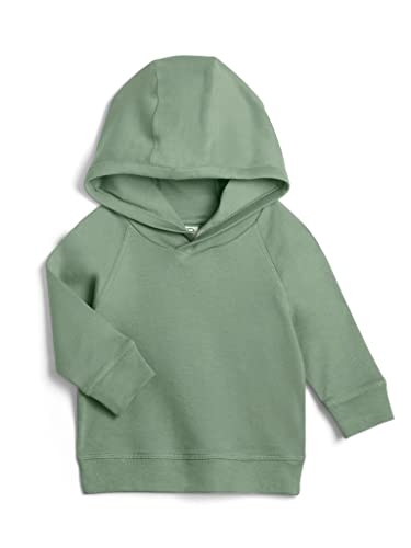 Colored Organics - Organic Cotton Long Sleeve Baby & Toddler Hoodie Pullover Shirt - Boy & Girl Clothing