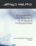 Programming for Business & Analytics Professionals: An Introduction to Java and Python