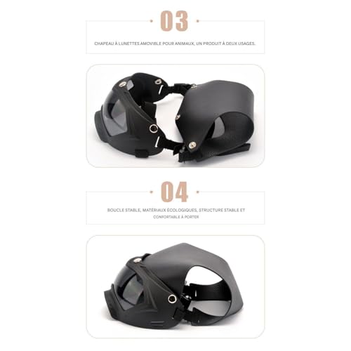 Lunettes pour chien avec casque antichoc aux finitions soignées - 7