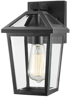 Z-Lite 1 Light Outdoor Wall Sconce 579S-BK,Clear Beveled