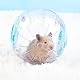 Hamsterball,Youxiaor 18 cm Hamsterball Übungsball Hamster Spielzeug Hamsterkugel Laufrad Hamster Laufkugel Für Hamster & Mäuse Kleintiere Kunststoff Spielzeug Für Haustier Ratten Mäuse Fitness Laufen