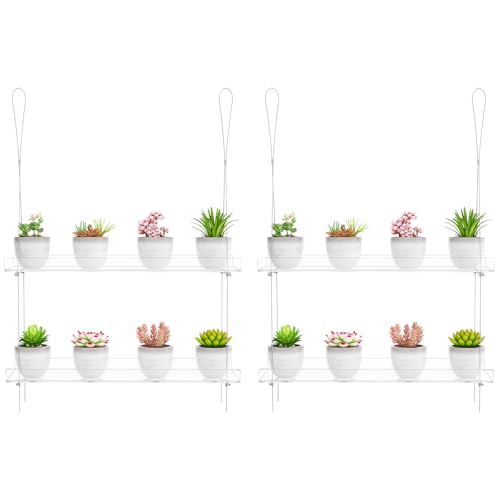 Paquete de 2 estantes transparentes colgantes para plantas, soporte de pared de 2 niveles para plantas de interior, organizador de exhibición de flores para microverdes, suculentas, flores, 16