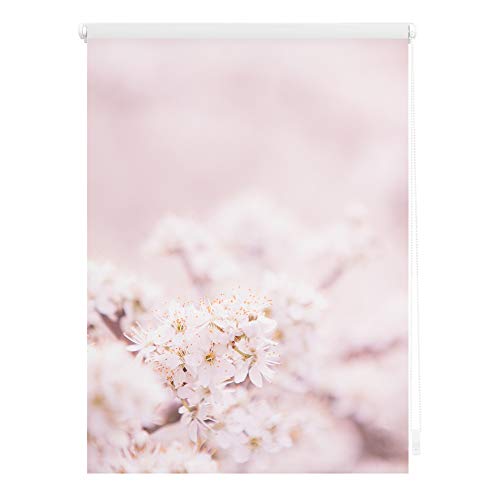 Lichtblick Klemmfix Tageslicht-Rollo mit Motiv, ohne Bohren, Blickdicht, Seitenzugrollo, Made in Germany, Kirschblüten - Rosa Weiß 45 cm x 150 cm (B x L)