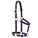 Weaver Leather Padded Breakaway Adjustable Chin and Throat Snap Halter, 1" Average Horse or Yearling Draft, Purple