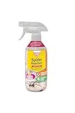 Zero In Spider Repellent - Indoor Peppermint Oil Spray for Spiders - Non-Toxic, Insect Spray For Home - Suitable for Indoor Use, Lasts up to 2-3 Weeks - 500ml (Package may vary)
