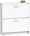MUEBLES PITARCH | Zapatero Recibidor Mueble Auxiliar Estrecho 2 Puertas para Entrada Blanco, 12 Pares de Zapatos, 82x74x25cm, Colección Tibet