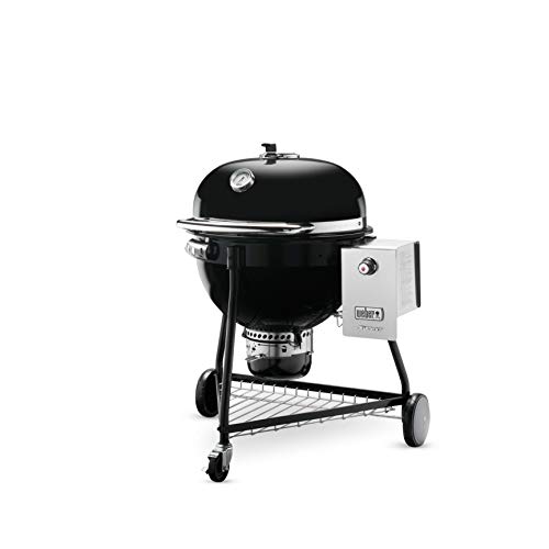 Weber Summit Charcoal Grill