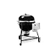 Weber 18301001 Summit Charcoal Grill, Black