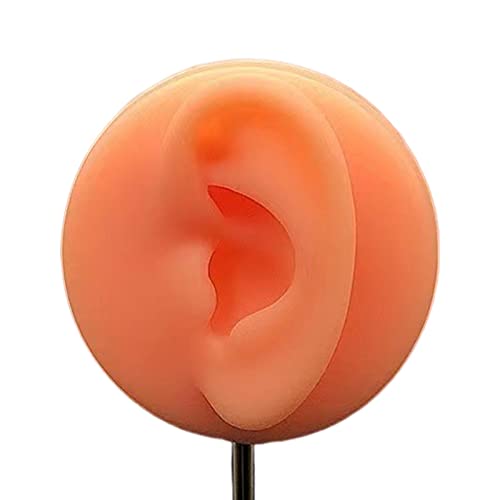 Colaxi Organizador de joias, Suporte de de orelha de silicone, Adereços para armazenamento de joias