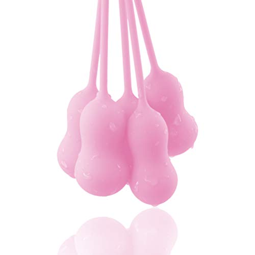 HEALLILY 5 peças de bola de encolhimento feminina vaginal haltere de silicone para exercícios (rosa)