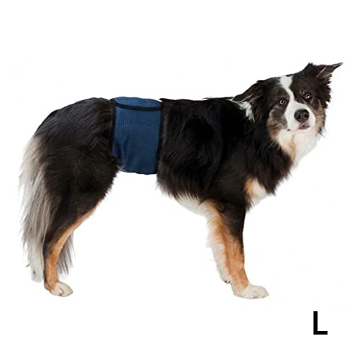Trixie Bauchband für männliche Hunde, L: 55-65 cm
