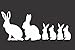 Bunny Family- Die Cut Vinyl Window Decal/sticker for Car , Truck, Laptop 3.5