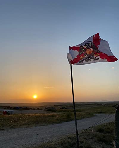 Bandera de los Tercios españoles con el águila bicefala con el aspa de borgoña o bandera de san andrés de fondo