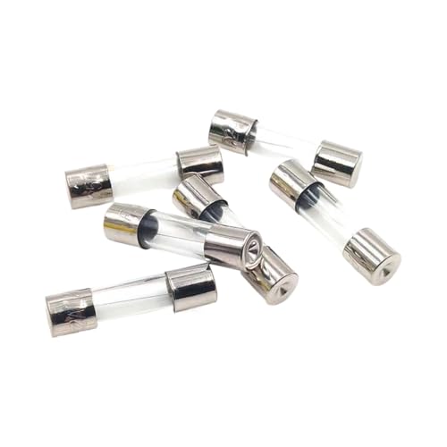 Fusibles 5x20mm 2A 250V à action rapide pour protéger les circuits domestiques
