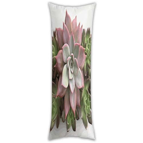 Housse de coussin long motif plante succulente pour lit et canapé