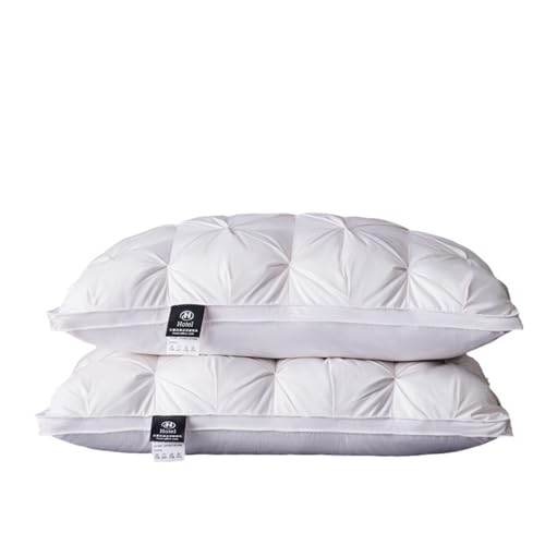 cuscino ortopedico con piuma d'oca e visco 40/80 bianco presso Mussne