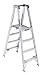 Werner PT374 300-Pound Duty Rating Twin Step Aluminum Stockr