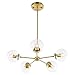 Light Society Grammercy 5-Light Chandelier Pendant, Brushed Brass with Clear Glass Globes, Classic Mid Century Modern Lighting Fixture (LS-C228-BRS-CLR)