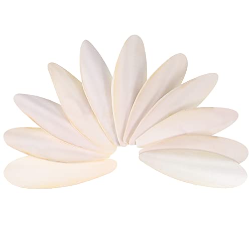 Popuppe 11pcs Cuttlefish Bone,8-10cm Cuttlebone Chewing Toys for Parrots Birds Reptiles Tortoises Snails