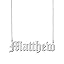Matthew Silver - No Custom
