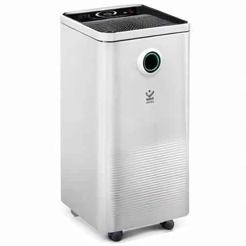 Avalla X-95 Deshumidificador Inteligente - Deshumificadores de Humedad - 10L/día Bajo Consumo, para Hogar y Oficina - Gas R290, Modo Secadora, Cobertura 120m³/h, Ajuste Humedad con Depósito 2,5L