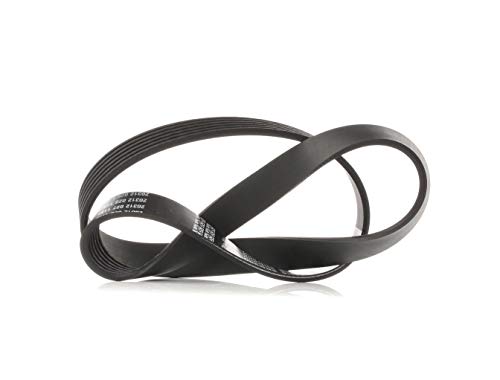 Continental Ctam Keilrippenriemen U.A. FüR Audi, Chrysler, CitroËN, Fiat-image