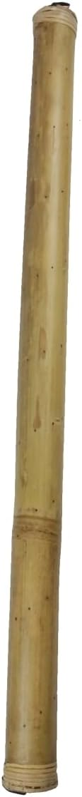 Toca Rainstick (TRAIN39N)