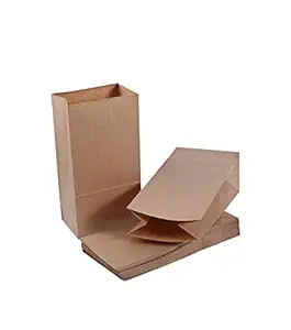 RANUR Large Square Bottom or Flat bottom paper Bags Made of Brown Craft Paper, Size 6