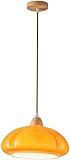 Ampoules compatibles : Cette suspension est compatible avec les ampoules E26/E27, telles que les ampoules basse consommation ou LED (ampoule non incluse). Économique et sûre, elle vous offre un éclairage sain.