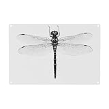 Photo Gallery wxwjshmgc targa in metallo con stampa libellula bianca e nera, divertente targa in metallo, decorazione da appendere alla parete, 30,5 x 20,3 cm Photo Gallery wxwjshmgc targa in metallo con stampa libellula bianca e nera, divertente targa in metallo, decorazione da appendere alla parete, 30,5 x 20,3 cm