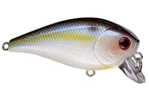 LUCKY CRAFT LC 1.5SSR, Wobbling Freshwater Lake Bass Fishing Bait (183 Pearl Threadfin Shad)