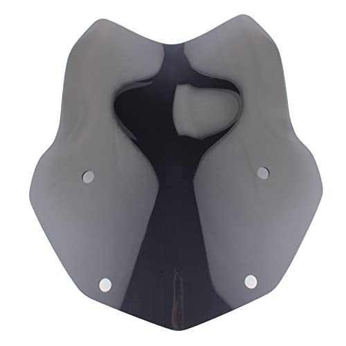 Protection écran R1200GS anti-choc et anti-reflet pour moto