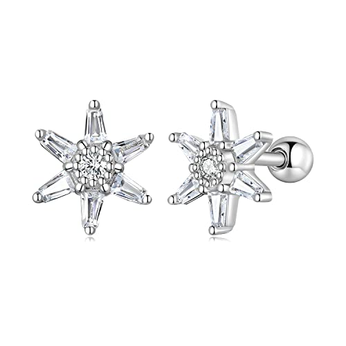 Boucles d'oreilles étoile de mer en argent, le cadeau idéal pour les passionnées de l'océan