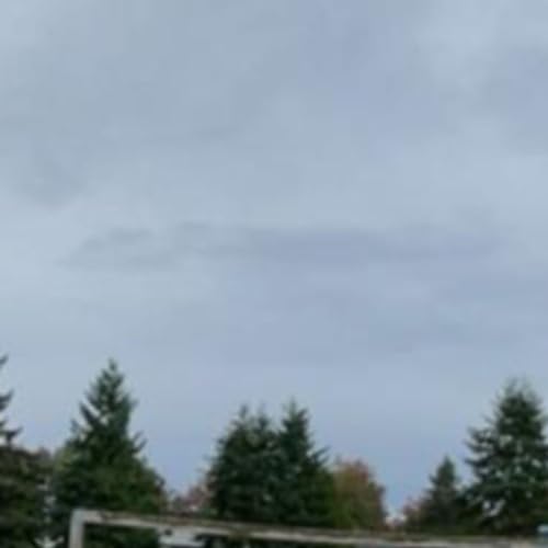 Consent of participants.