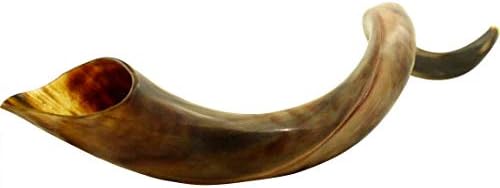 Half Polished Kudu Horn Shofar - Yemenite Kudu Shofar - Kosher Kudu Shofar Made in Israel (16"-20")