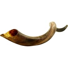 Half Polished Kudu Horn Shofar - Yemenite Kosher Made in Israel 20"-24"
