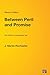 Between Peril and Promise: The Politics of International Law