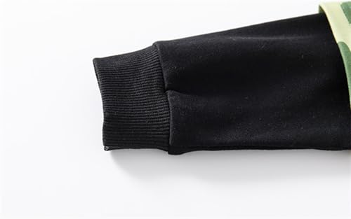 Toddler Boy Long Sleeve Crewneck Sweatshirt Dinosaur Print Spring 5