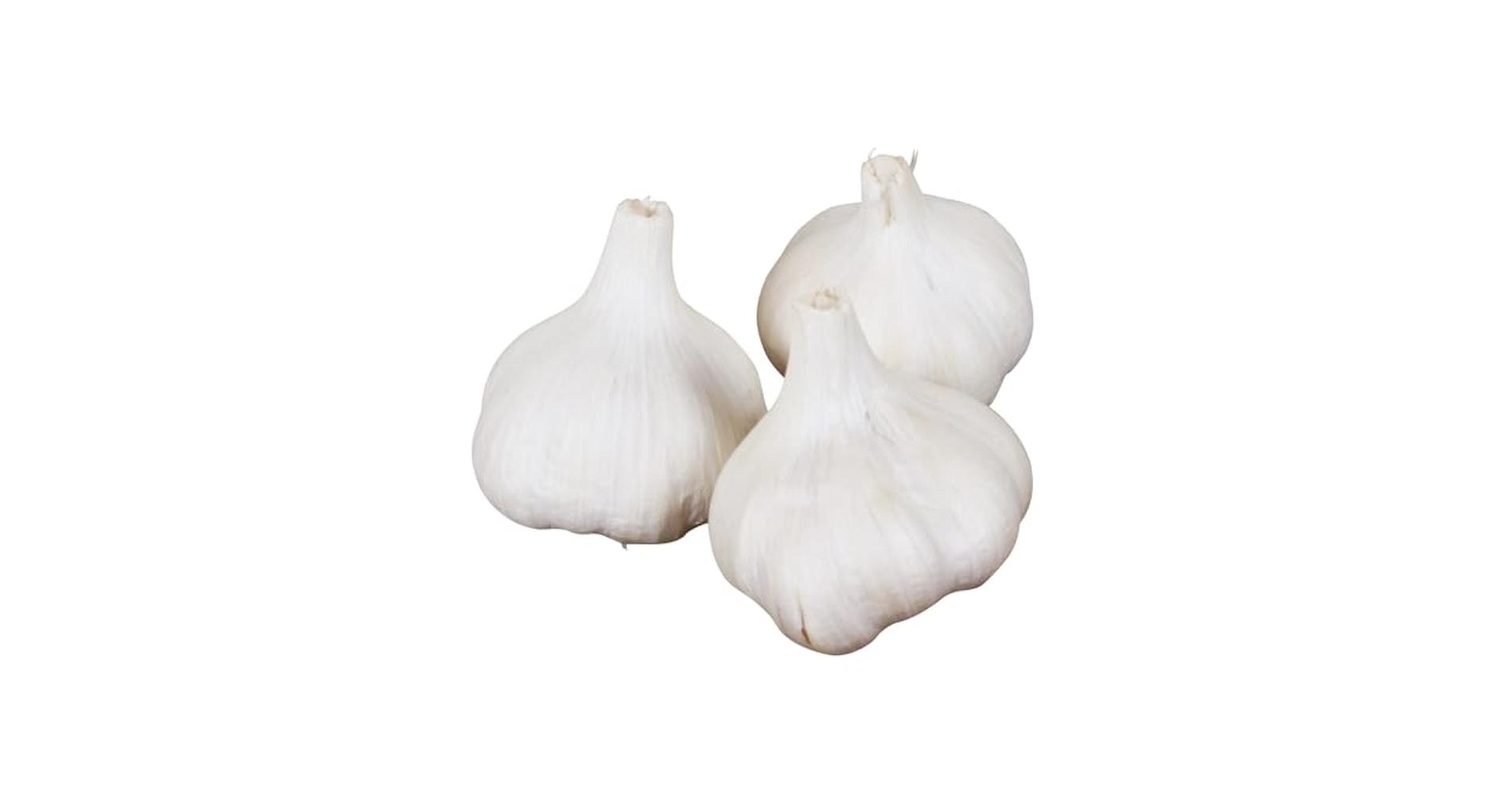 Amazon.co.jp: ニンニク 種球 平戸 1kg / 国華園 25年秋商品