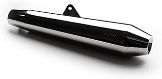 AEW Megaphone for Interceptor /GT650 TE 102 SS 304 MIRROR POLISH