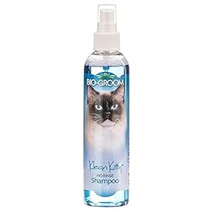 Bio-Groom Klean Kitty Katzenshampoo ohne Ausspülen 236ml