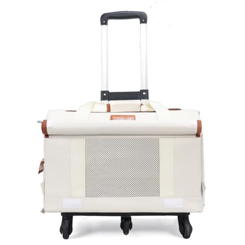 DudassybgL[ LX^[t ybgJ[g O\ w  ƗXy[X e 360x]LX^[ 萫 ^ L  U s ʉ@ (uE,EhX^Civbhtj)