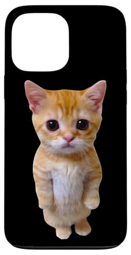 El Gato Meme Sad Crying Cat Munchkin Kitty Meme Trendy Case for iPhone 13 Pro Max