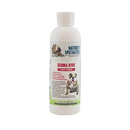 Nature's Specialties Derma Dyne Shampoo for Dogs Cats, Non-Toxic Biodegradeable, 8oz (DD8)