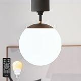 VENTOTA シーリングライトおしゃれ 1灯 北欧 無段調光可能 LED対応 ガラス ダイニング照明 リビング 天井照明 インテリア スチールフレーム 玄関 E26 間接照明 Modico-C1 (ブラック｜リモコン付調光調色60w相当LED電球付)