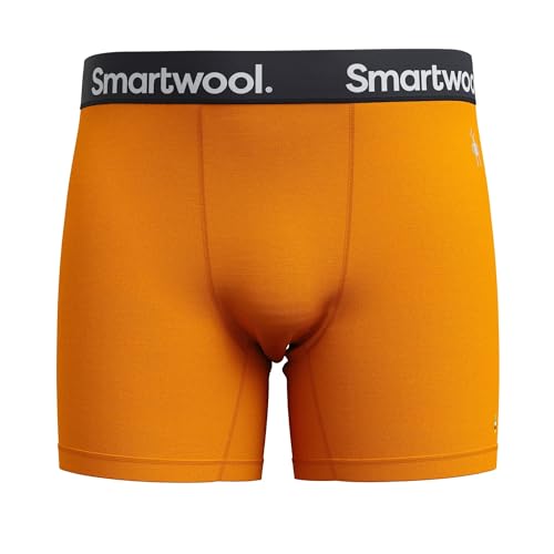 Image of Smartwool Men's Active Boxer Brief Boxed