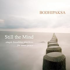 Still the Mind Audiolibro Por Bodhipaksa arte de portada