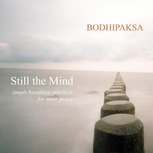 Still the Mind Audiolivro Por Bodhipaksa capa