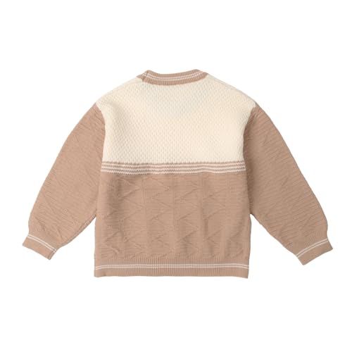 Image of Bold N Elegant Kid's Full Sleeve 3D Cute Puppy Plush Toy Brooch Cartoon Warm Woolen Winter Holiday Party Pullover Sweater Cardigan for Boys & Girls