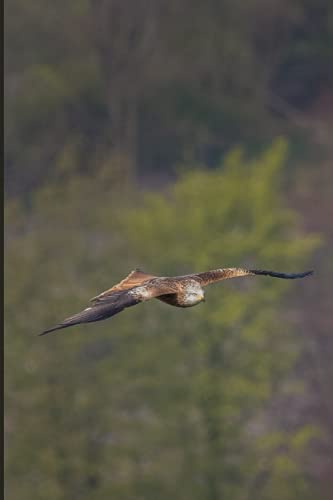 Notebook: Red Kite Journal